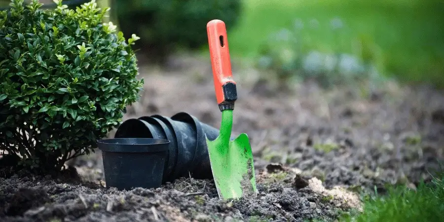 Small garden trowel, measuring around 7 inches, placed on the soil.