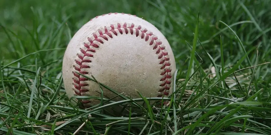 A baseball resting on grass, representing an object close to 3 inches in diameter, used for 6-inch comparisons."