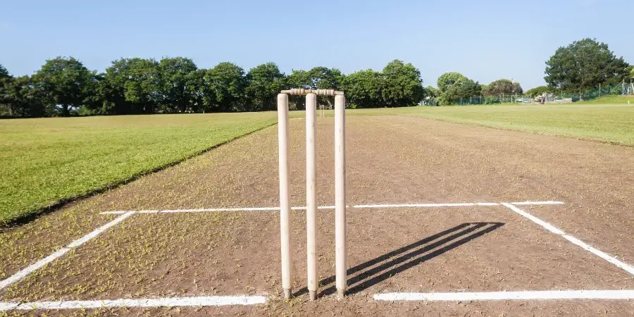 Cricket field with pitch lines, representing 1.5 cricket pitches extending to 100 feet.