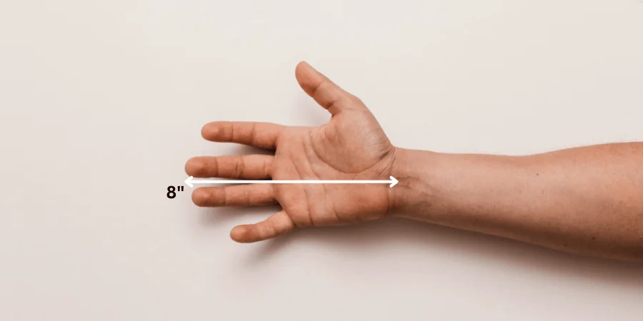 Adult male hand with a measurement of 8 inches from wrist to fingertip.