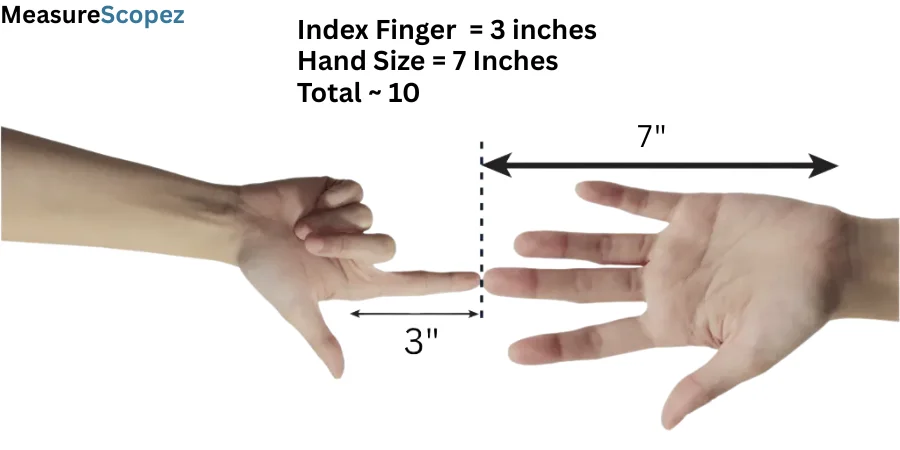 Image showing a hand with measurements, including 7-inch hand size and 3-inch index finger.