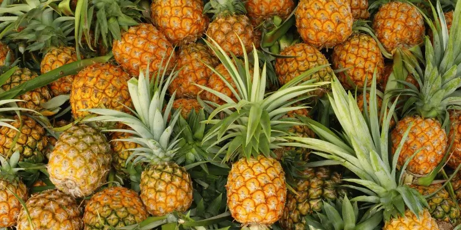 Pile of fresh pineapples stacked together on a market table.