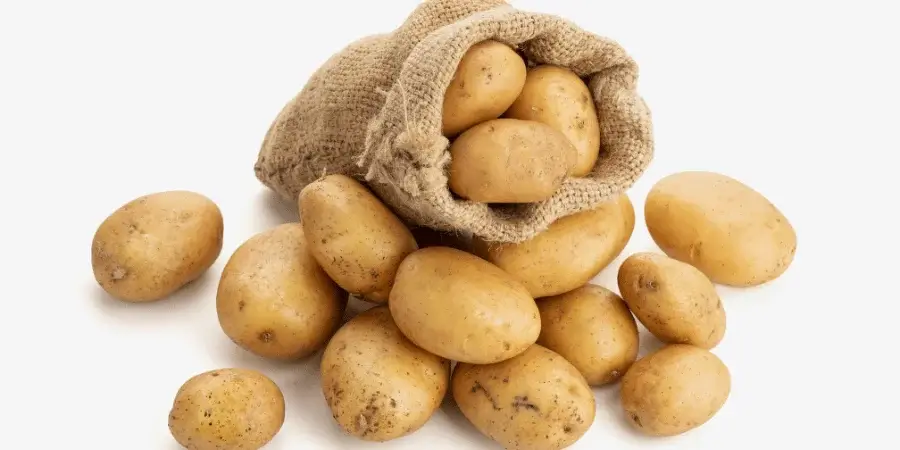 A burlap sack containing several fresh potatoes, with a few spilling out onto the surface.