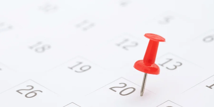 Red thumbtack pinned on a calendar page, weighing about 1 gram.