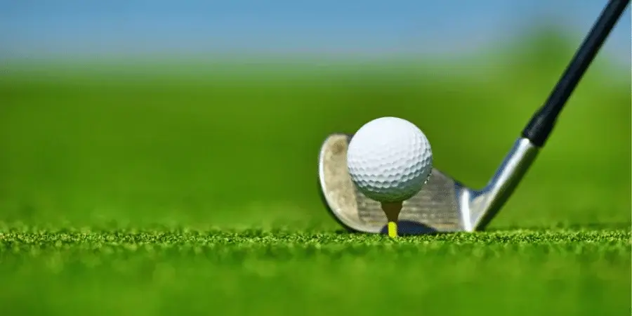 A golf ball on the grass, two golf balls weigh approximately 100 grams together.