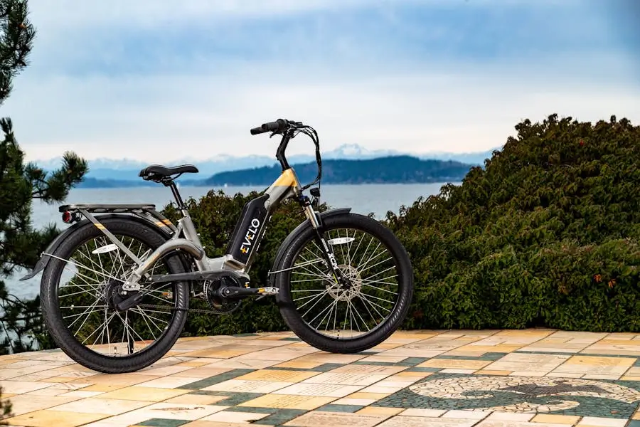 An electric bike weighing 30 kg is parked outdoors with a scenic mountain and ocean view.