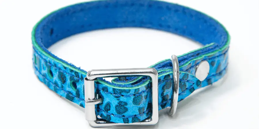 A blue dog collar with a fun pattern and a metal buckle, designed for small pets.
