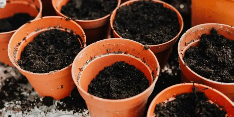 Bag of potting soil for healthy garden and indoor plants.