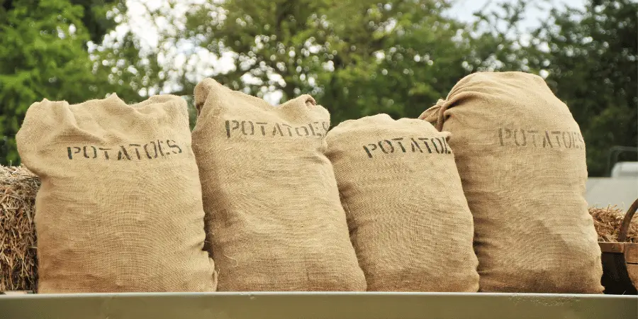 Four burlap sacks of potatoes stacked together on a wagon, with greenery in the background.