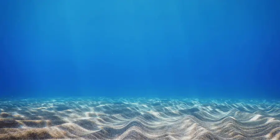 A serene underwater view of a sandy ocean floor with gentle ripples of clear blue water above.