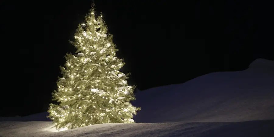Snowy landscape with a glowing Christmas tree decorated with warm white lights against a dark winter night.