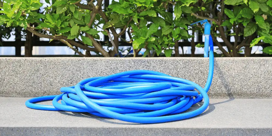 Coiled blue garden hose resting on a concrete surface, surrounded by lush green plants.