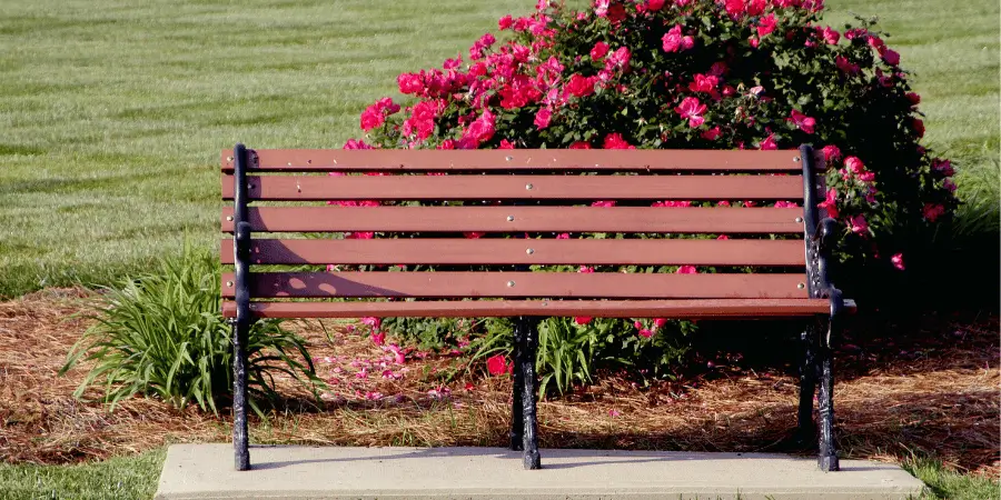 Wooden park bench with iron legs placed near blooming pink flowers in a landscaped green garden.