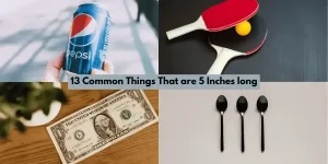 13 Common Things That Are 5 Inches Long