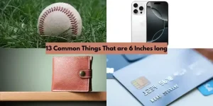 13 Common Things That Are 6 Inches Long