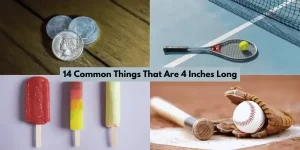 14 Common Things That Are 4 Inches Long