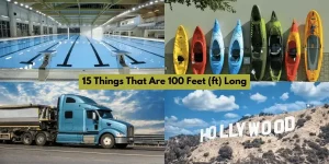 15 Things That Are 100 Feet (ft) Long