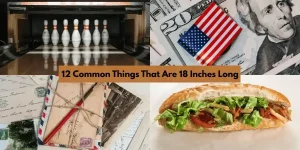 12 Common Things That Are 18 Inches Long