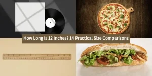 How Long Is 12 Inches? 14 Practical Size Comparisons