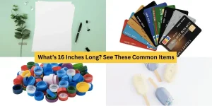 What’s 16 Inches Long? See These Common Items