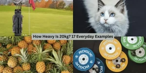 How Heavy Is 20kg? 17 Everyday Examples