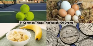 14 Common Things That Weigh 100 Grams