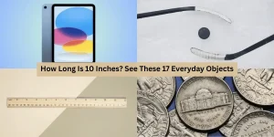 How Long Is 10 Inches? See These 17 Everyday Objects