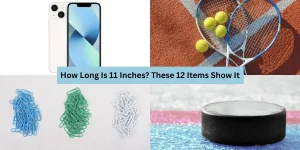 How Long Is 11 Inches? These 12 Items Show It