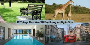 12 Things That Are 20 Feet Long or Big in Size