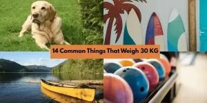 14 Common Things That Weigh 30 KG