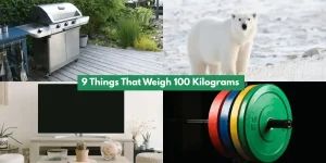 9 Things That Weigh 100 Kilograms