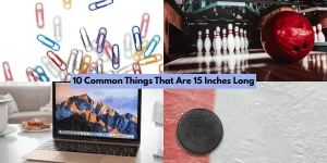 10 Common Things That Are 15 Inches Long