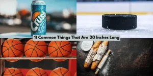 11 Common Things That Are 20 Inches Long