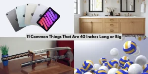 11 Common Things That Are 40 Inches Long or Big