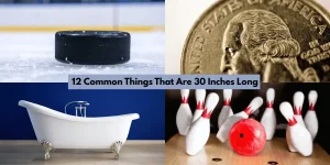 12 Common Things That Are 30 Inches Long