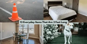 13 Everyday Items That Are 3 Feet Long