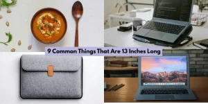 9 Common Things That Are 13 Inches Long
