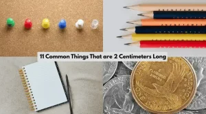 11 Common Things That are 2 Centimeters Long